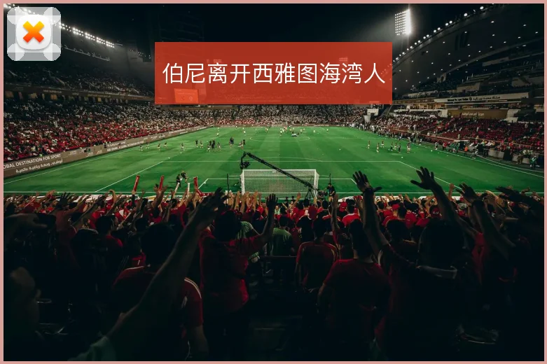 伯尼离开西雅图海湾人